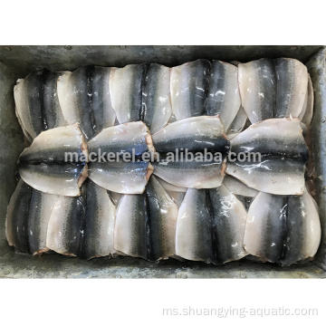 Flap Mackerel Pacific Fish Fish dengan standard EU